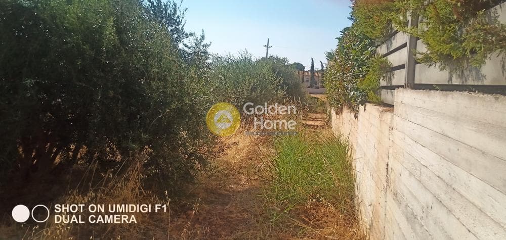 Οικόπεδο στην Καλύβια, Καλύβια Θορικού — Φωτογραφία 5 από 5