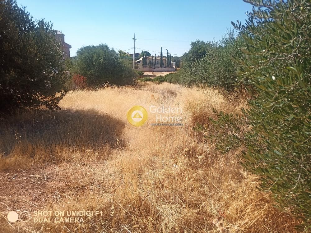 Οικόπεδο στην Καλύβια, Καλύβια Θορικού — Φωτογραφία 4 από 5