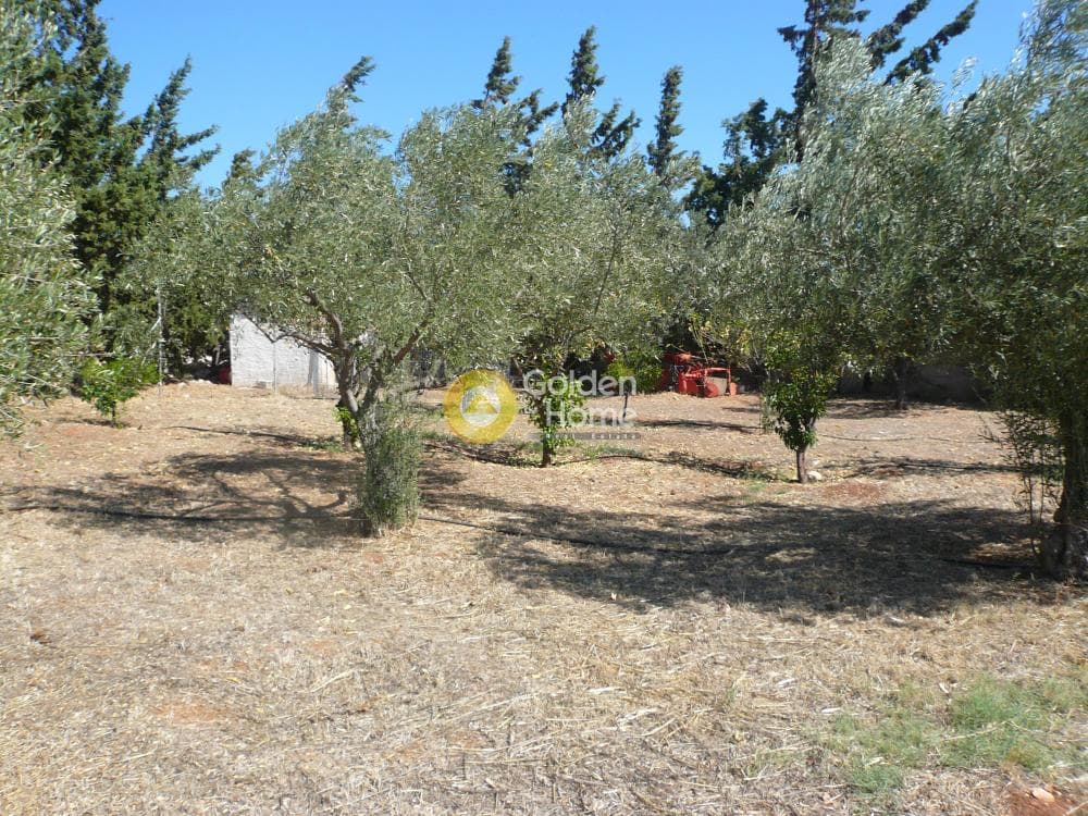 Μονοκατοικία στην Καλύβια, Καλύβια Θορικού — Φωτογραφία 17 από 19