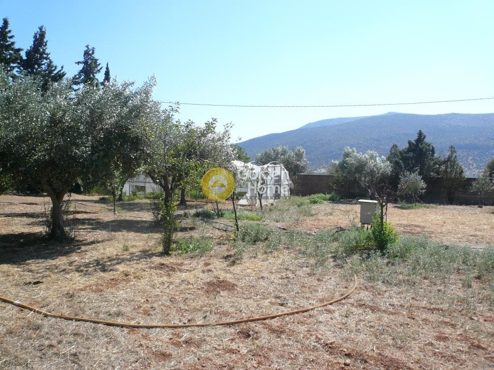 Μονοκατοικία στην Καλύβια, Καλύβια Θορικού — Φωτογραφία 18 από 19