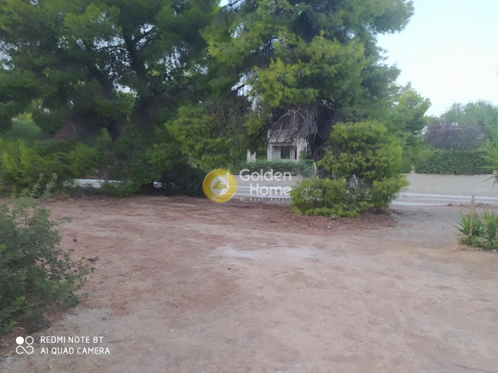 Οικόπεδο στην Άγιος Σεραφείμ, Αρτέμιδα (Λούτσα) — Φωτογραφία 3 από 13