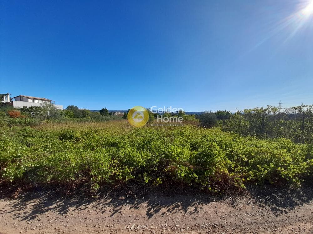 Parcel in Kokkinovrachos, Afidnes — Photo 2 of 2