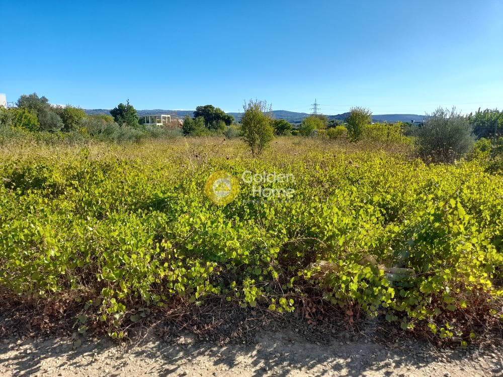 Parcel in Kokkinovrachos, Afidnes — Photo 1 of 2