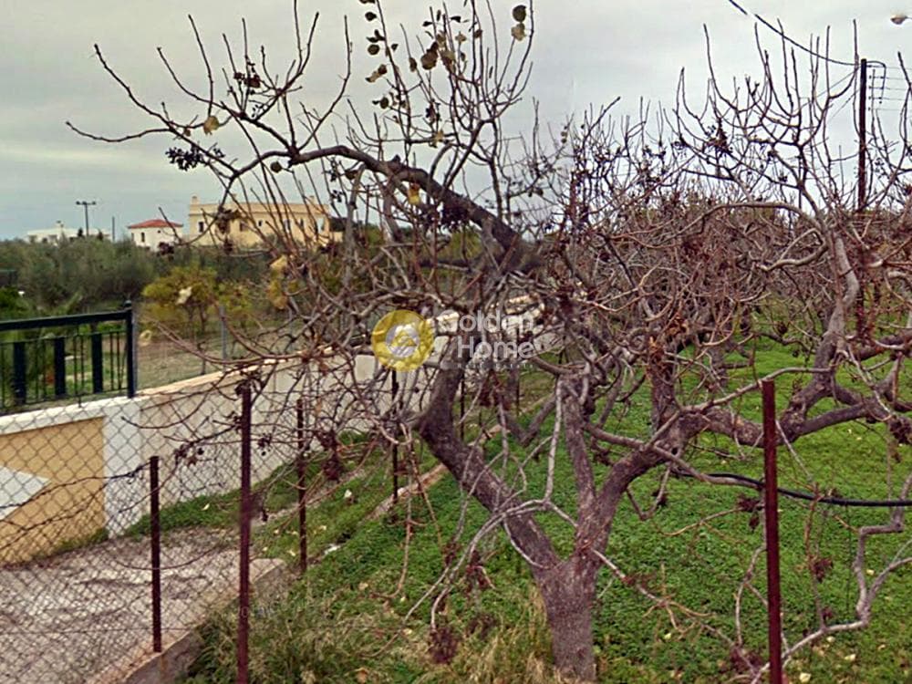 Building Plot in Kipseli, Aegina — Photo 2 of 2