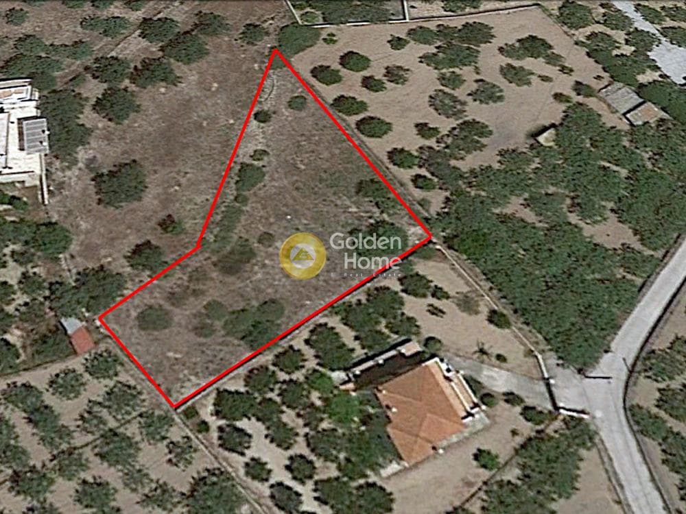 Building Plot in Kipseli, Aegina — Photo 1 of 2