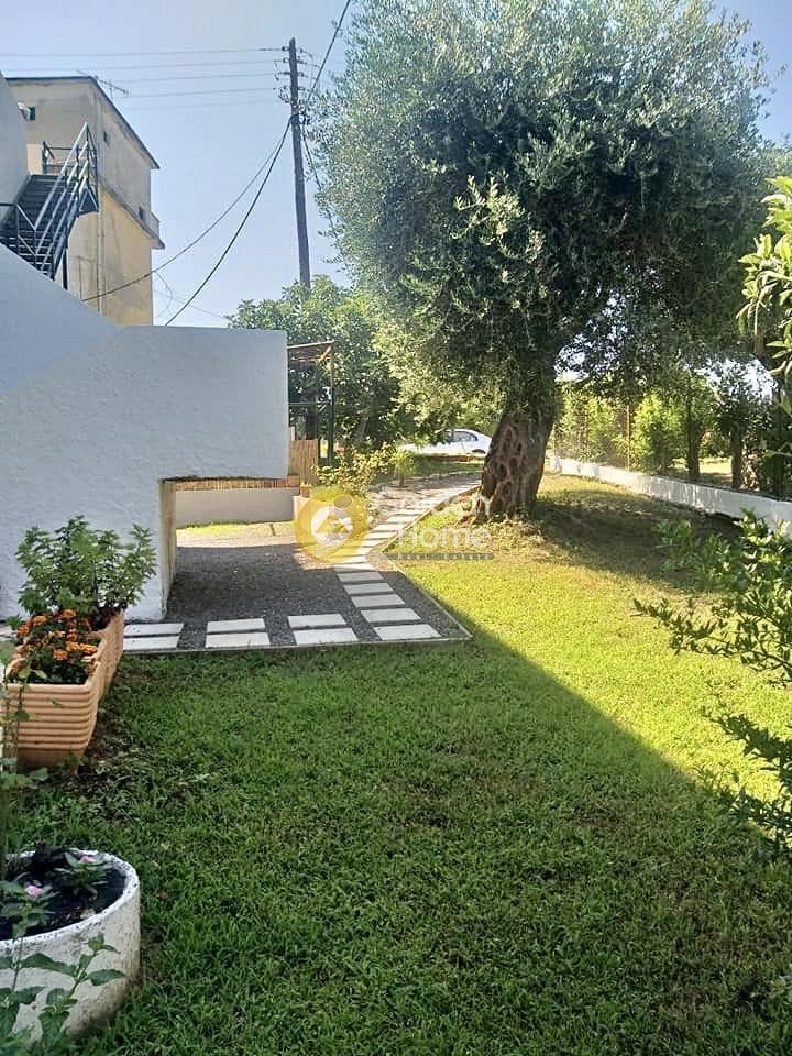 Hotel in Pareli, Corfu — Photo 11 of 14