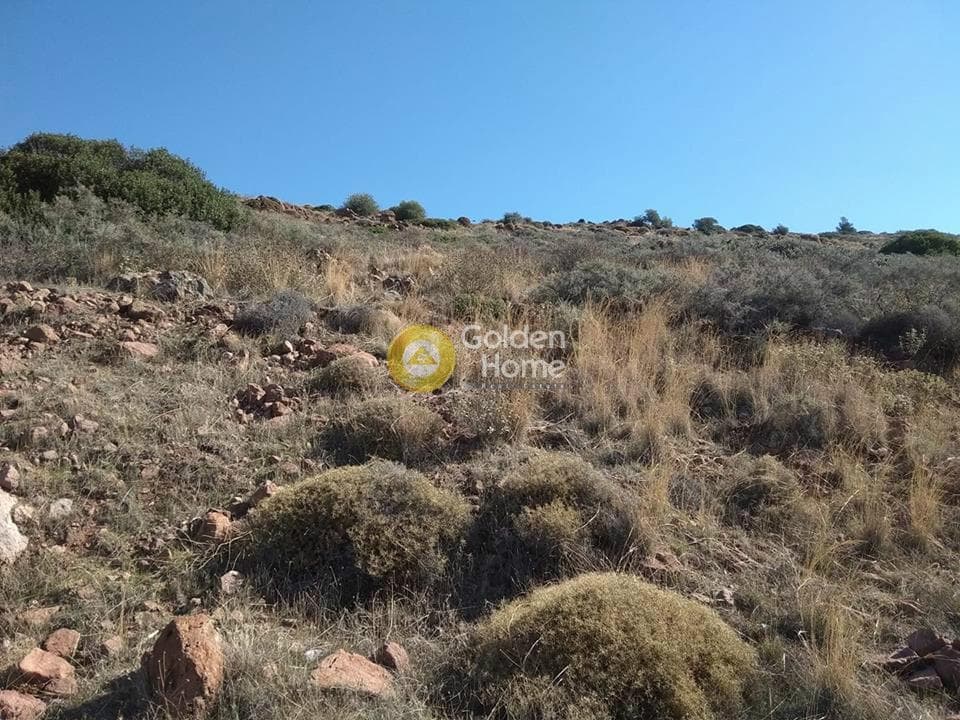 Building Plot in Sfentouri, Aegina — Photo 2 of 3
