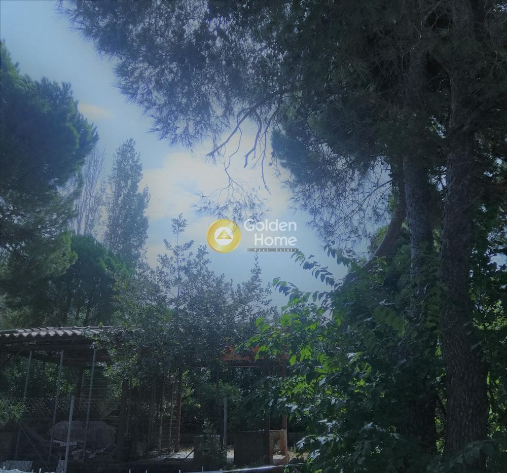Οικόπεδο στην Άγιος Ανδρέας, Νέα Μάκρη — Φωτογραφία 7 από 7