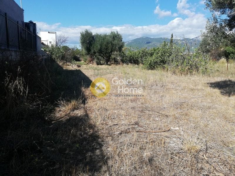 Αγροτεμάχιο στην Μεγάλα Σχοινία Α, Αχαρνές — Φωτογραφία 1 από 5
