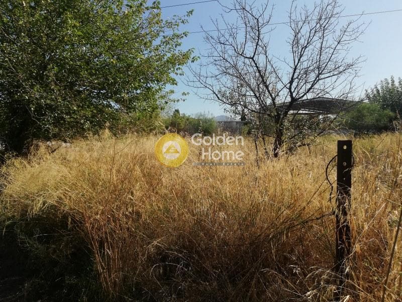 Αγροτεμάχιο στην Μεγάλα Σχοινία Α, Αχαρνές — Φωτογραφία 4 από 4