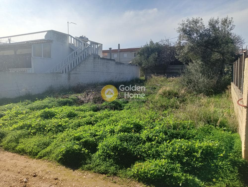 Building Plot in Vorineza, Artemida (Loutsa) — Photo 2 of 4