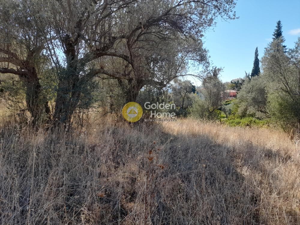Parcel in Kiourka, Afidnes — Photo 2 of 2