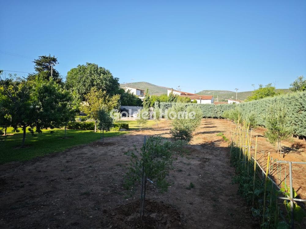 Οικόπεδο στην Κέντρο, Μαραθώνας — Φωτογραφία 40 από 57