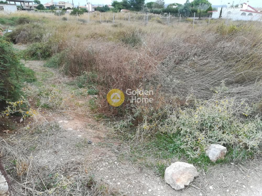 Building Plot in Alikes - Lakka, Anavissos — Photo 4 of 5