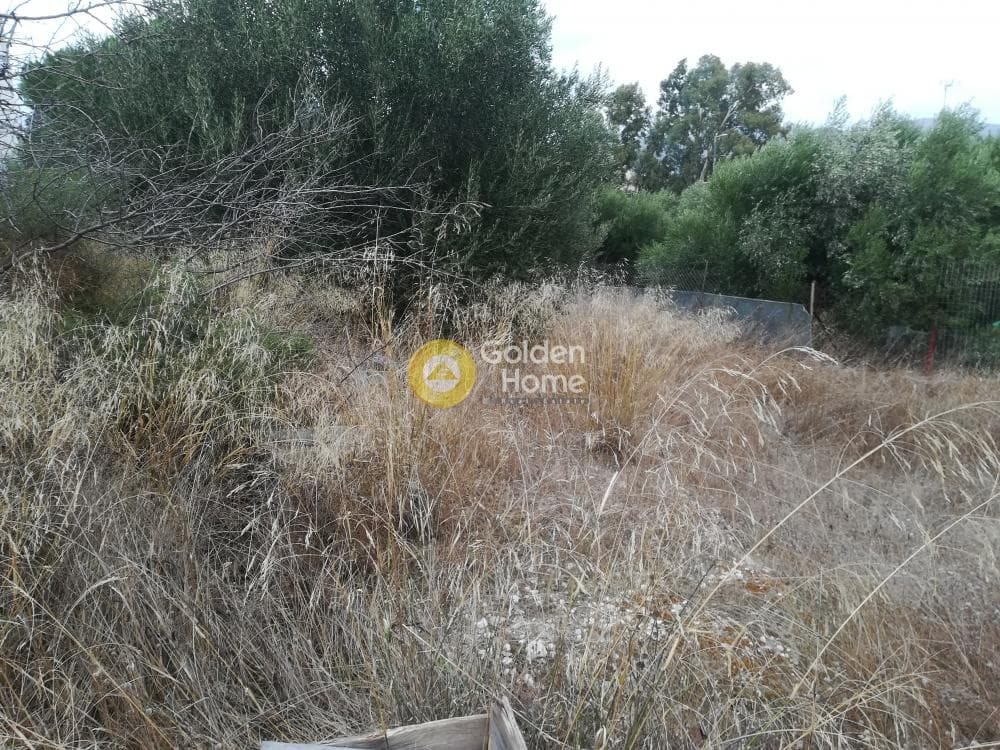 Building Plot in Anavyssos Center, Anavissos — Photo 3 of 12