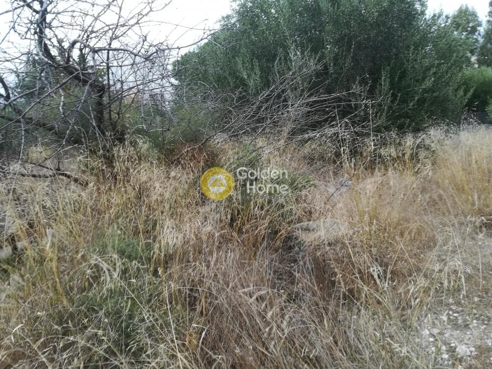 Building Plot in Anavyssos Center, Anavissos — Photo 4 of 12