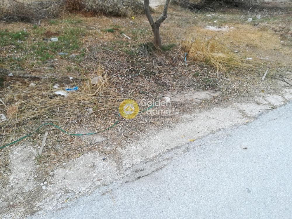 Parcel in Kalivia, Kalivia Thorikou — Photo 8 of 8