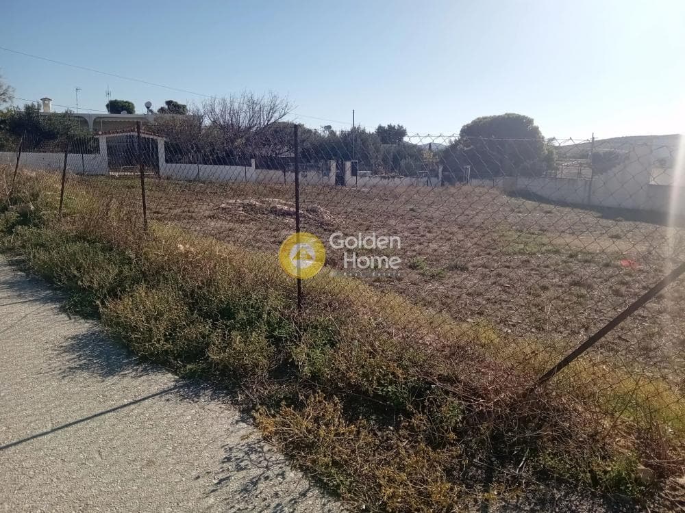 Parcel in Kalivia, Kalivia Thorikou — Photo 5 of 8