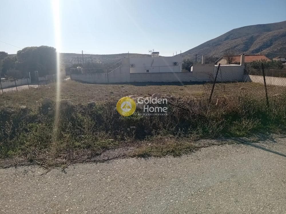 Parcel in Kalivia, Kalivia Thorikou — Photo 2 of 8