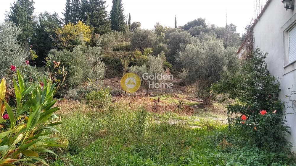 Μονοκατοικία στην Βοτένη, Ερίνεο — Φωτογραφία 3 από 18