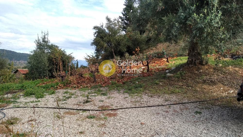 Μονοκατοικία στην Βοτένη, Ερίνεο — Φωτογραφία 18 από 18