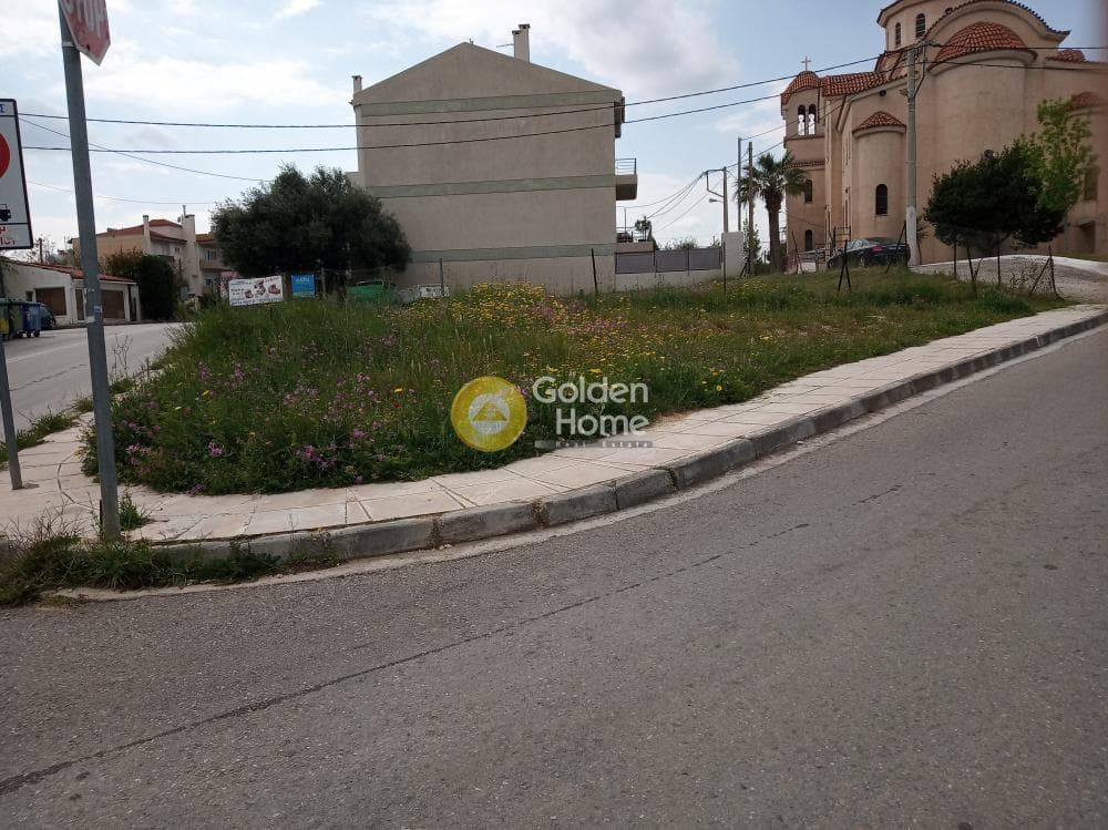 Οικόπεδο στην Πευκάκια, Αγία Παρασκευή — Φωτογραφία 2 από 2