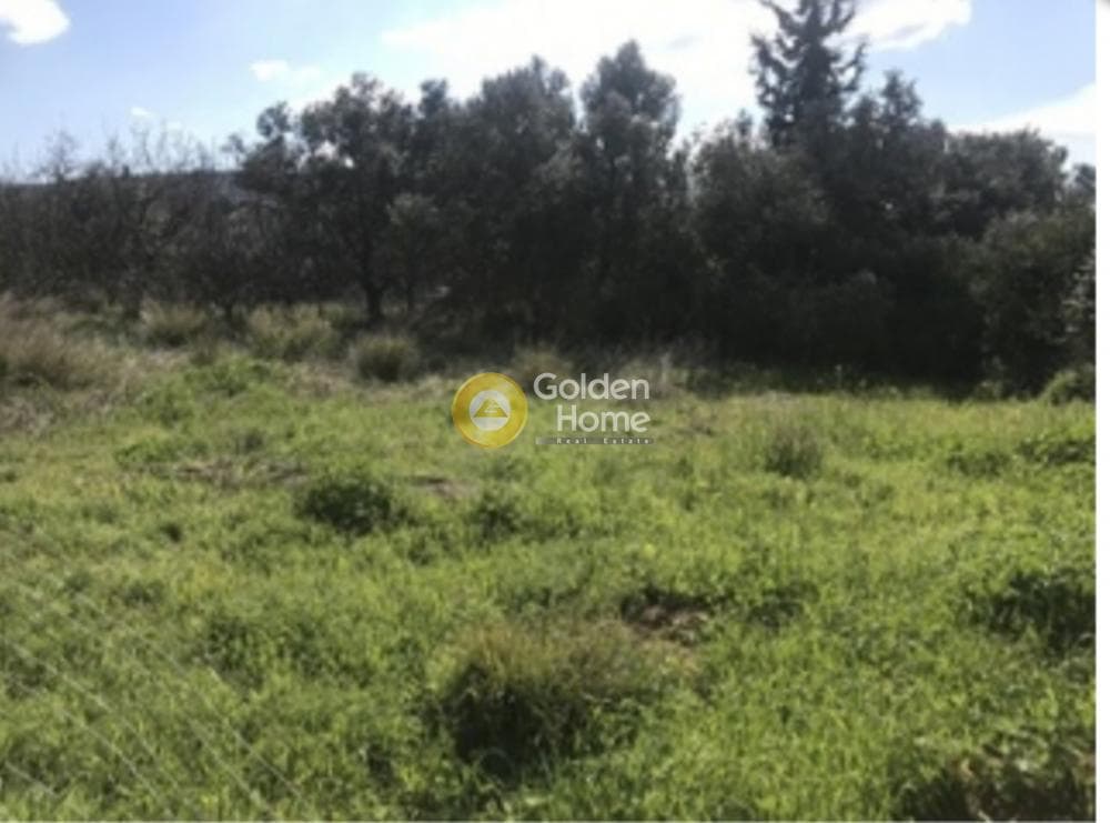 Building Plot in Agia Marina, Koropi — Photo 1 of 3