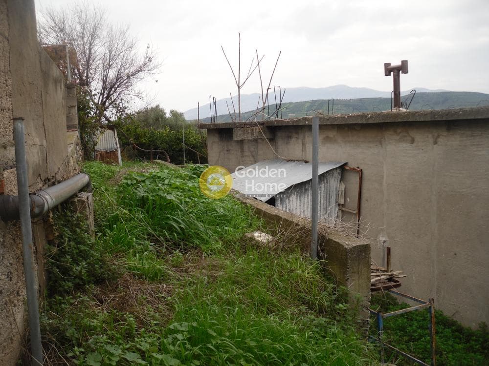 Οικόπεδο στην Σταυράκια, Τετραχώρι — Φωτογραφία 14 από 19
