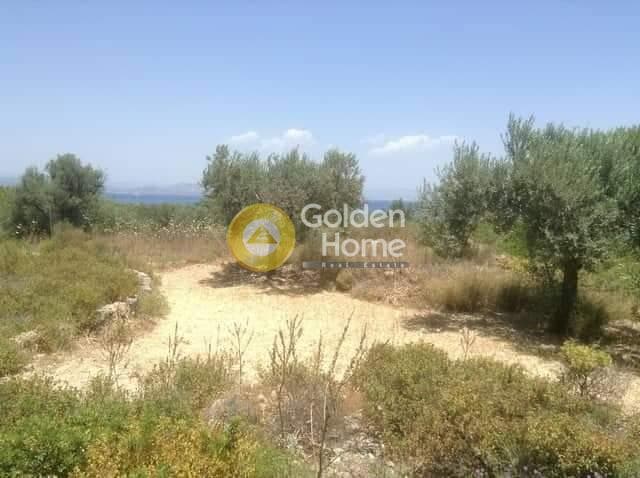 Οικόπεδο στην Μαυρομούτσουνο, Αίγινα — Φωτογραφία 4 από 5