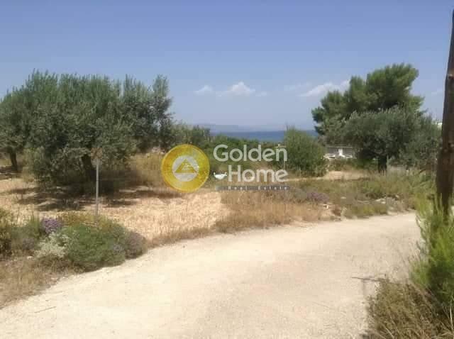Οικόπεδο στην Μαυρομούτσουνο, Αίγινα — Φωτογραφία 5 από 5