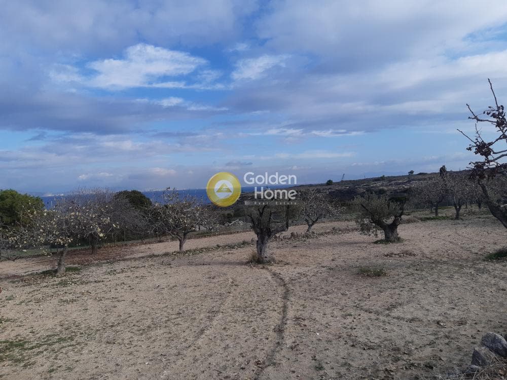 Building Plot in Kipseli, Aegina — Photo 1 of 3
