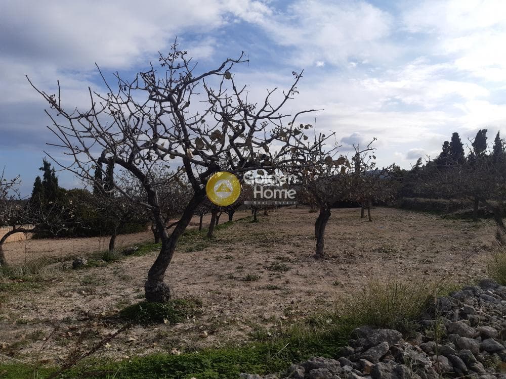 Building Plot in Kipseli, Aegina — Photo 3 of 3