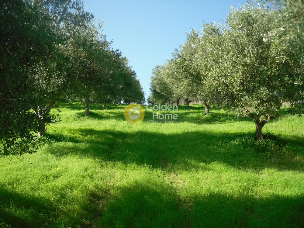 Building Plot in Gournes, Temenos — Photo 2 of 7