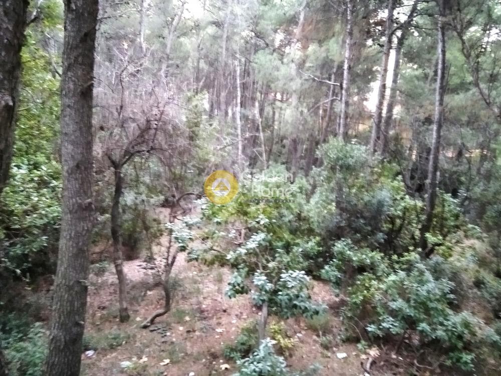 Οικόπεδο στην Μεγάλα Σχοινία Α, Αχαρνές — Φωτογραφία 2 από 5