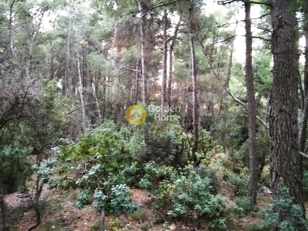 Οικόπεδο στην Μεγάλα Σχοινία Α, Αχαρνές — Φωτογραφία 4 από 5
