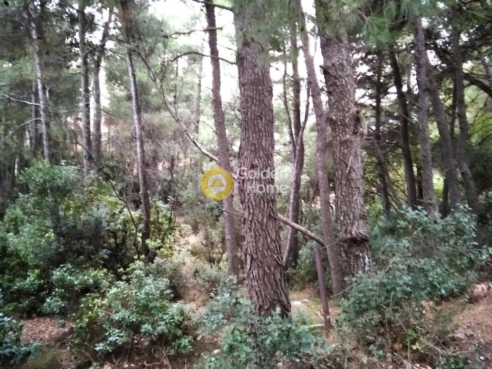 Οικόπεδο στην Μεγάλα Σχοινία Α, Αχαρνές — Φωτογραφία 3 από 5