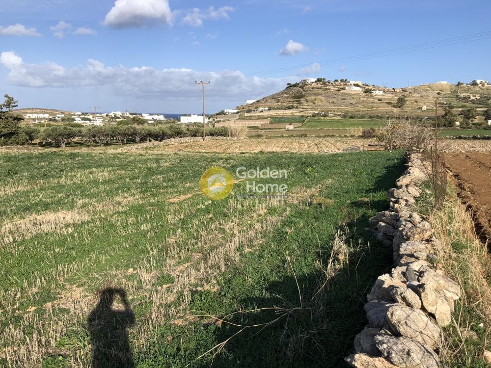 Parcel in Parasporos, Paros — Photo 6 of 21