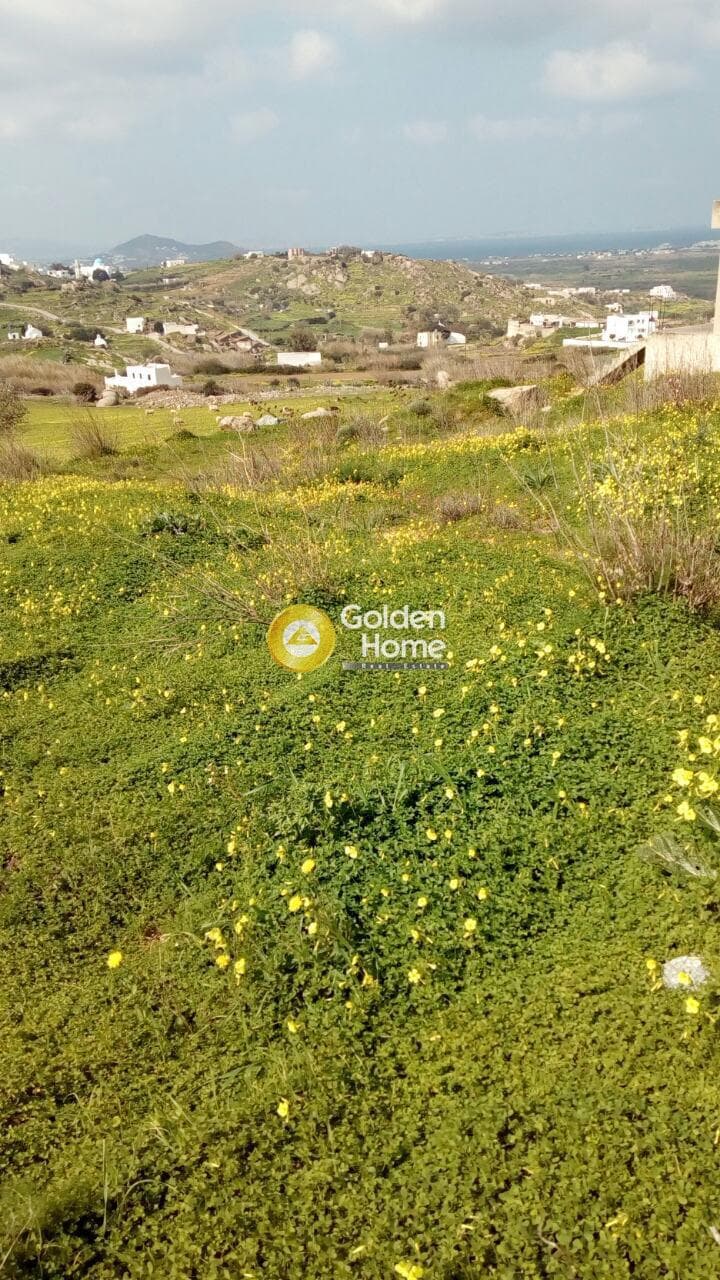 Building Plot in Galanado, Naxos — Photo 6 of 10