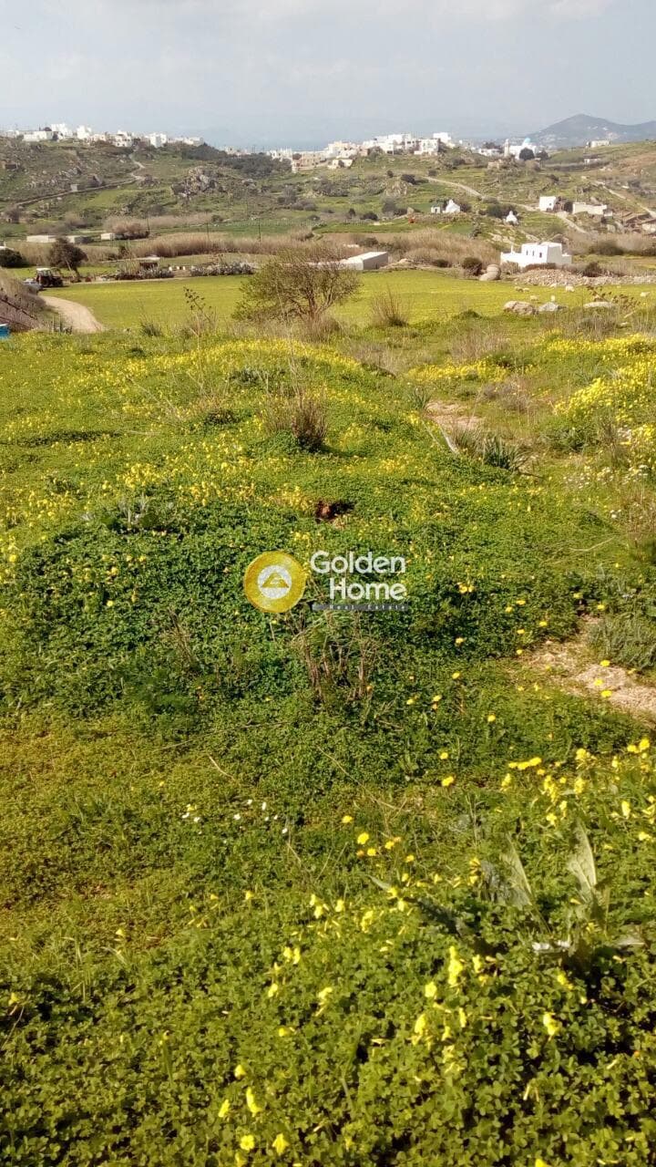 Building Plot in Galanado, Naxos — Photo 9 of 10