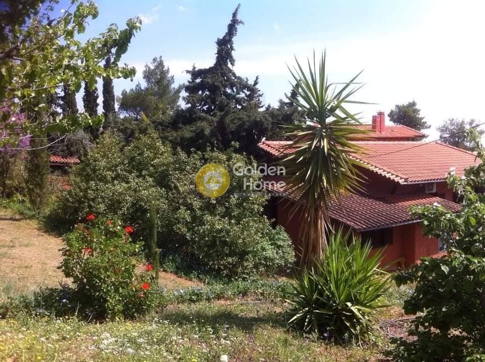 Οικόπεδο στην Μουσείο Βορρέ, Παιανία — Φωτογραφία 1 από 5