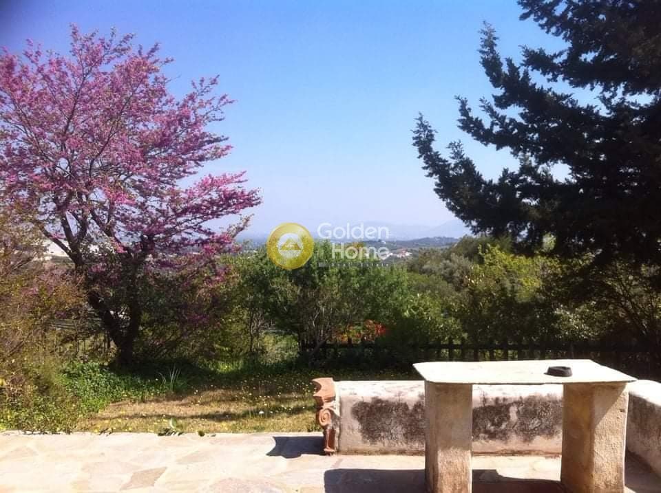 Οικόπεδο στην Μουσείο Βορρέ, Παιανία — Φωτογραφία 4 από 5