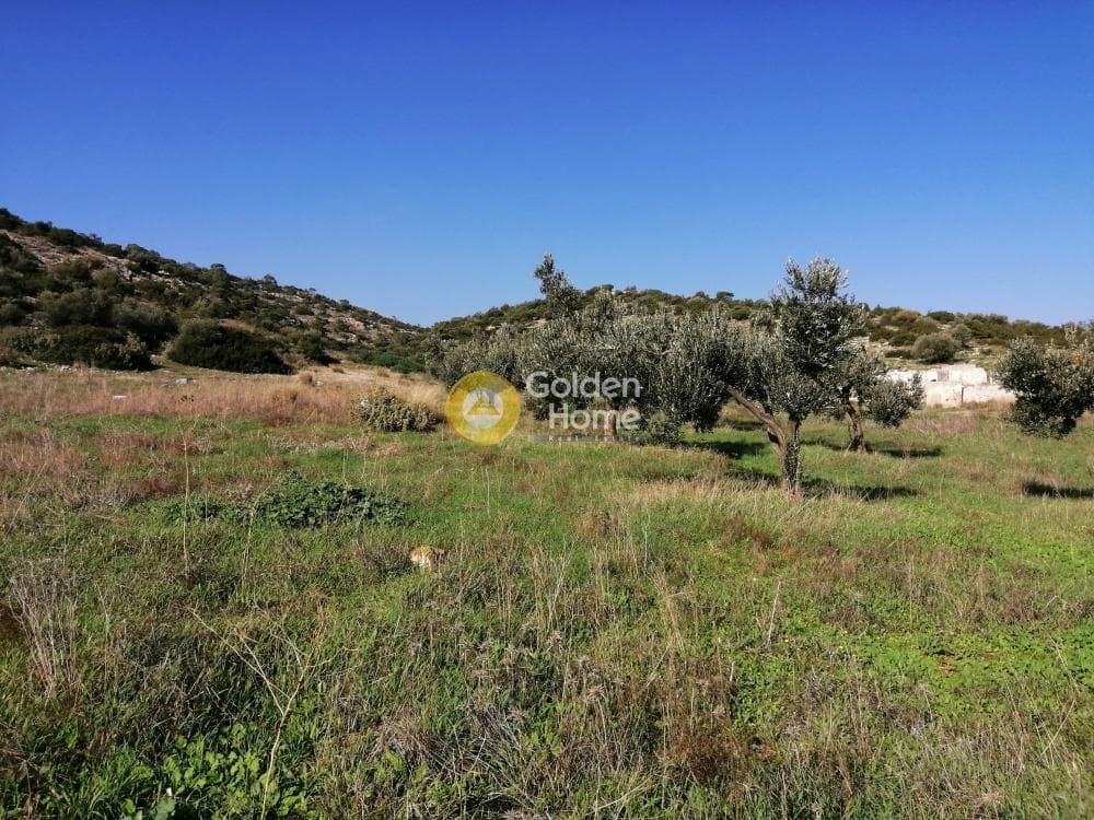 Αγροτεμάχιο στην ΒΙ.ΠΕ, Κορωπί — Φωτογραφία 4 από 6