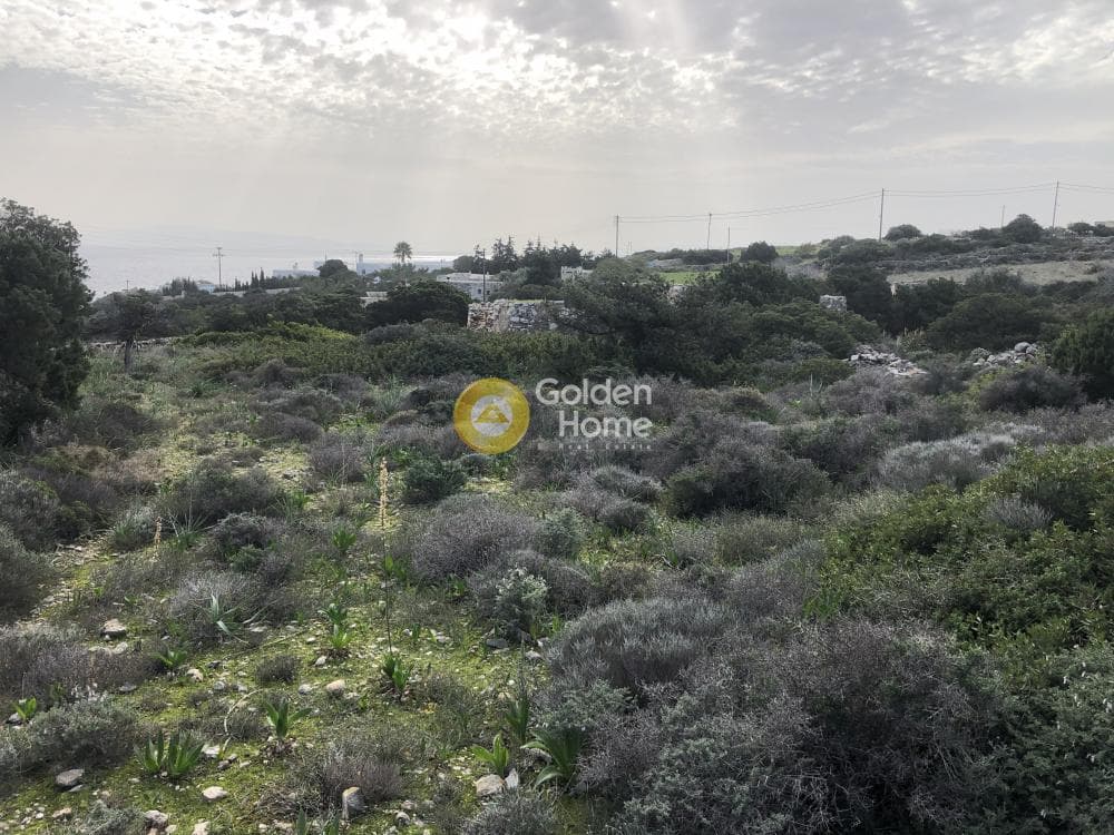 Parcel in Glifa, Paros — Photo 16 of 28