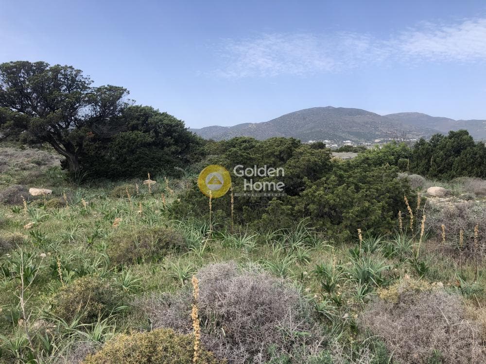Parcel in Glifa, Paros — Photo 17 of 28