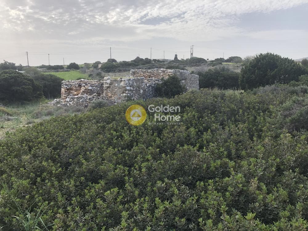 Parcel in Glifa, Paros — Photo 18 of 28