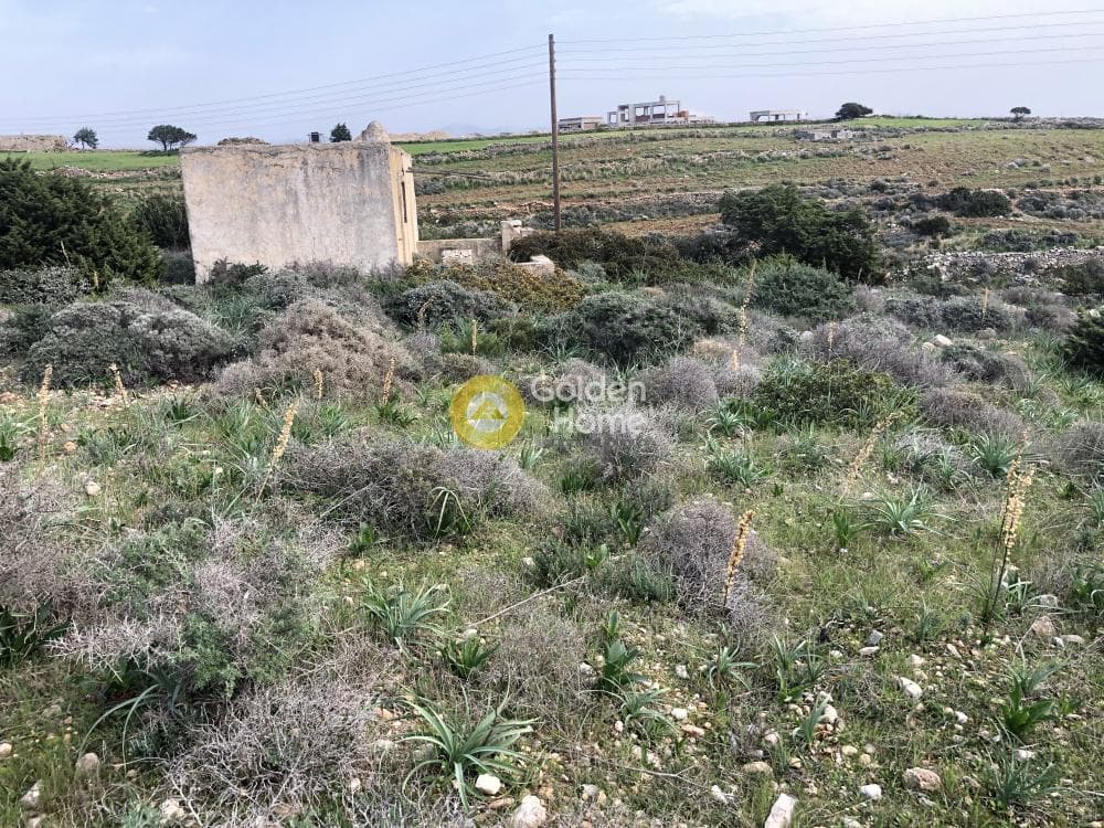 Parcel in Glifa, Paros — Photo 20 of 28
