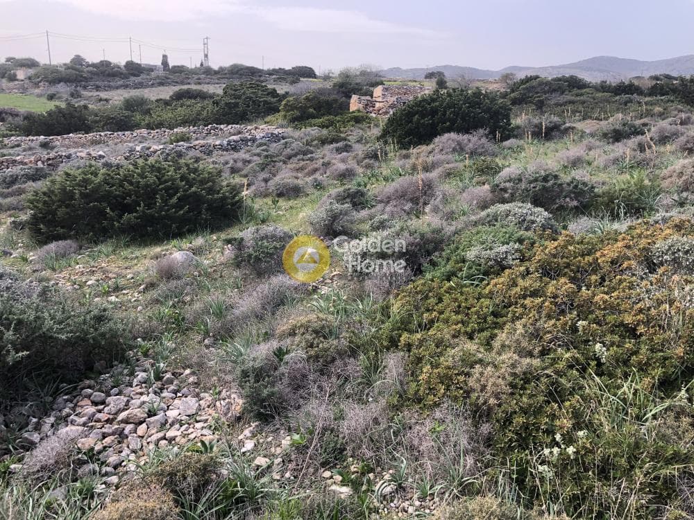 Parcel in Glifa, Paros — Photo 21 of 28
