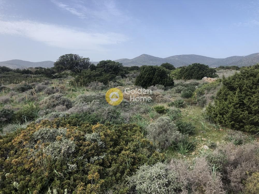 Parcel in Glifa, Paros — Photo 23 of 28