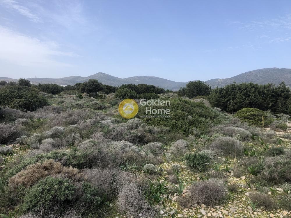 Parcel in Glifa, Paros — Photo 28 of 28