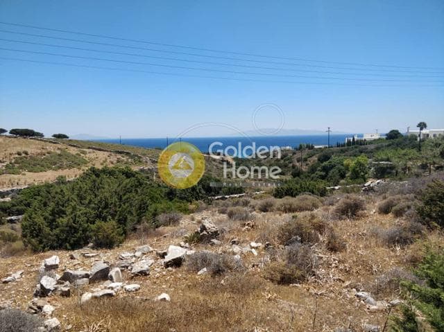 Parcel in Glifa, Paros — Photo 8 of 28